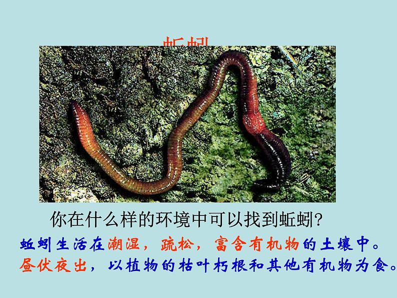 2.4 常见的动物(第4课时)—浙教版七年级科学上册课件(共18张PPT)第3页