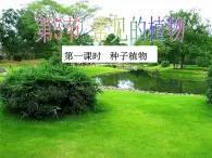 2.5  常见的植物（第1课时）—浙教版七年级科学上册课件(共19张PPT)