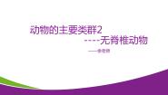动物的主要类群PPT课件免费下载