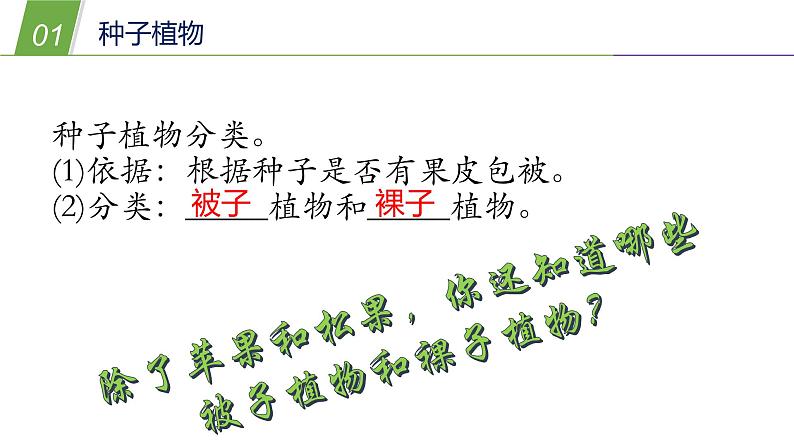 2.2植物的主要类群1—华东师大版七年级科学上册课件08