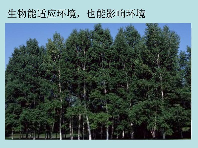 2.1 生物与非生物—浙教版七年级科学上册课件+素材07