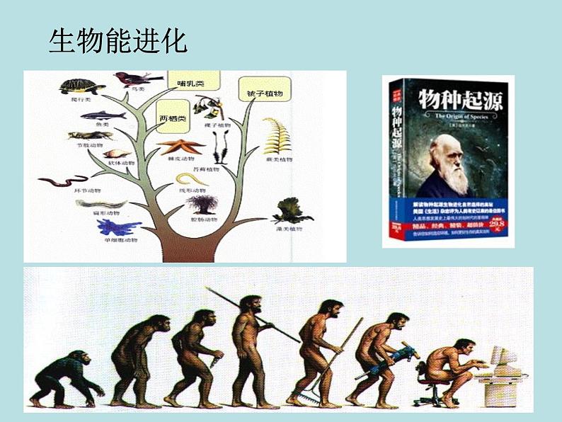 2.1 生物与非生物—浙教版七年级科学上册课件+素材08