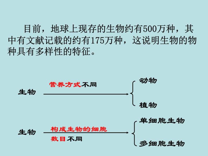 2.6  物种的多样性（第1课时）—浙教版七年级科学上册课件+素材02