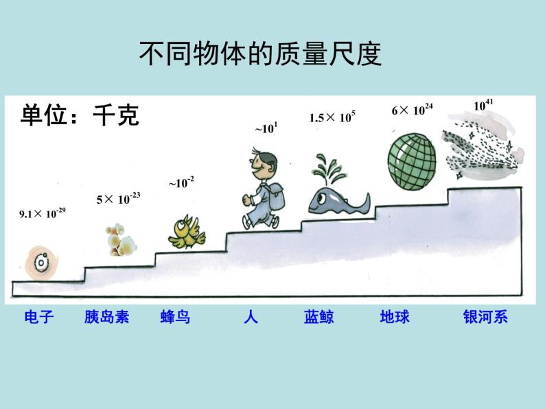 4.2 质量的测量—浙教版七年级科学上册课件+素材06