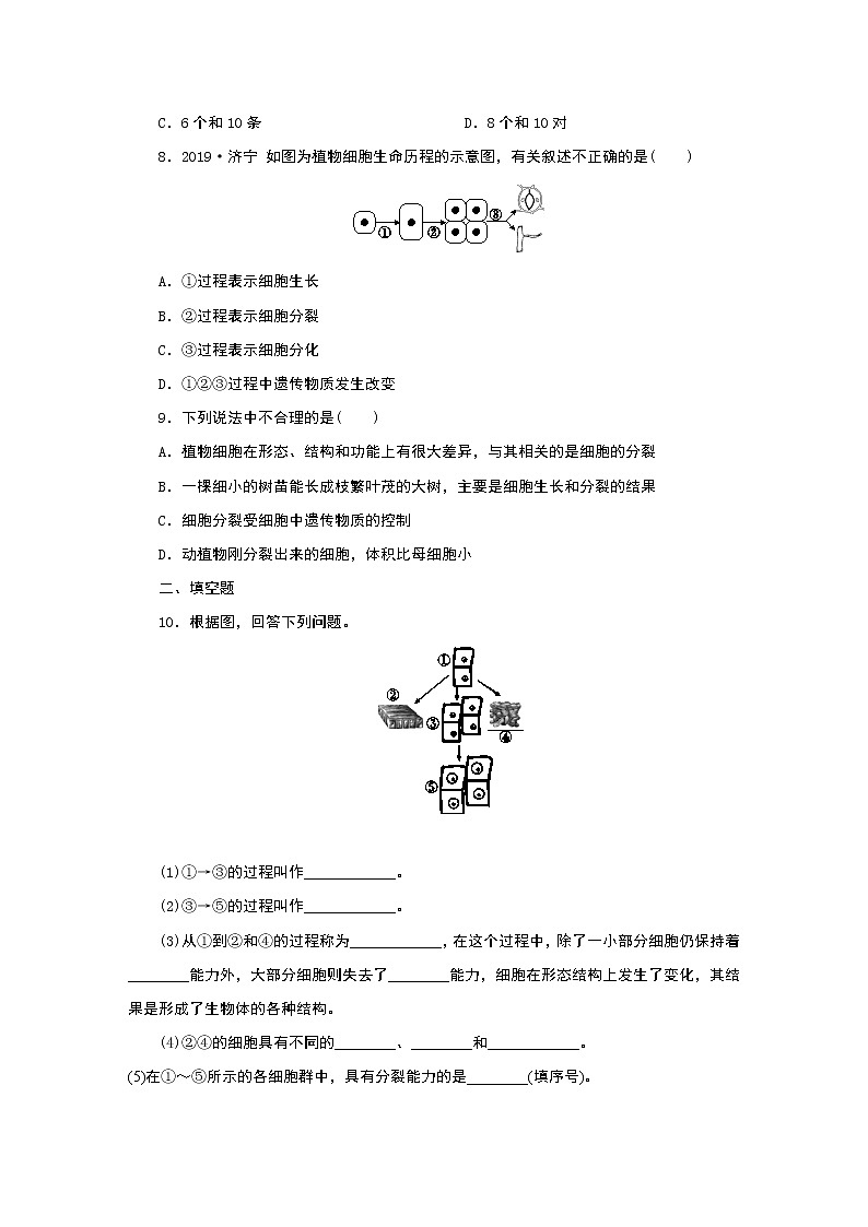 浙教版 七年级上册 2.3 第1课时 细胞的分裂、生长和分化练习题第2页