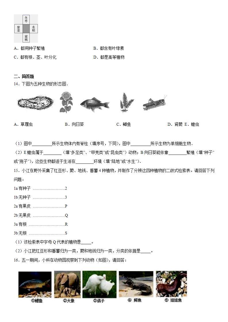 第二章生物的主要类群巩固练习（1）2020-2021学年华师大版科学七年级上册03