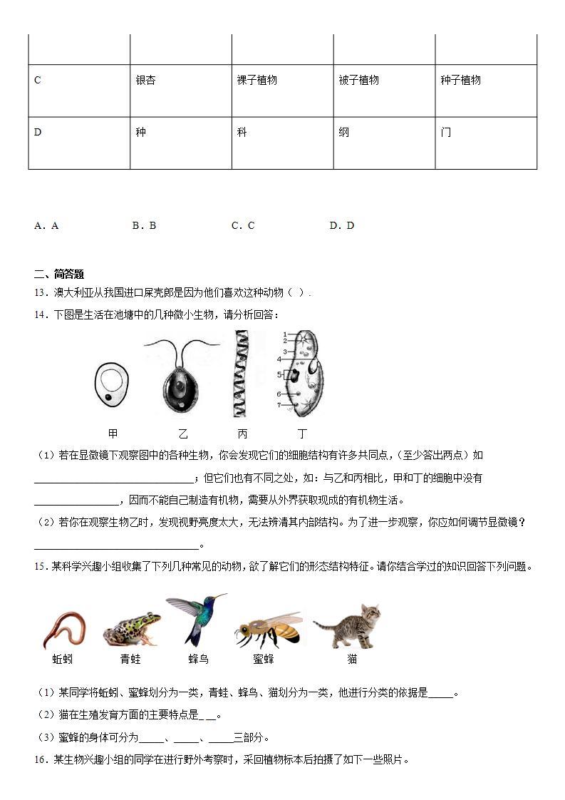 第二章生物的主要类群练习（3）2020-2021学年华师大版科学七年级上册03