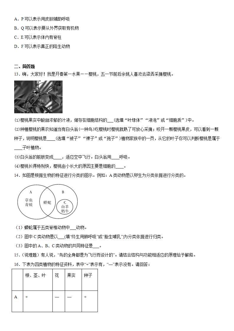 第二章生物的主要类群练习（1）2020-2021学年华师大版科学七年级上册03