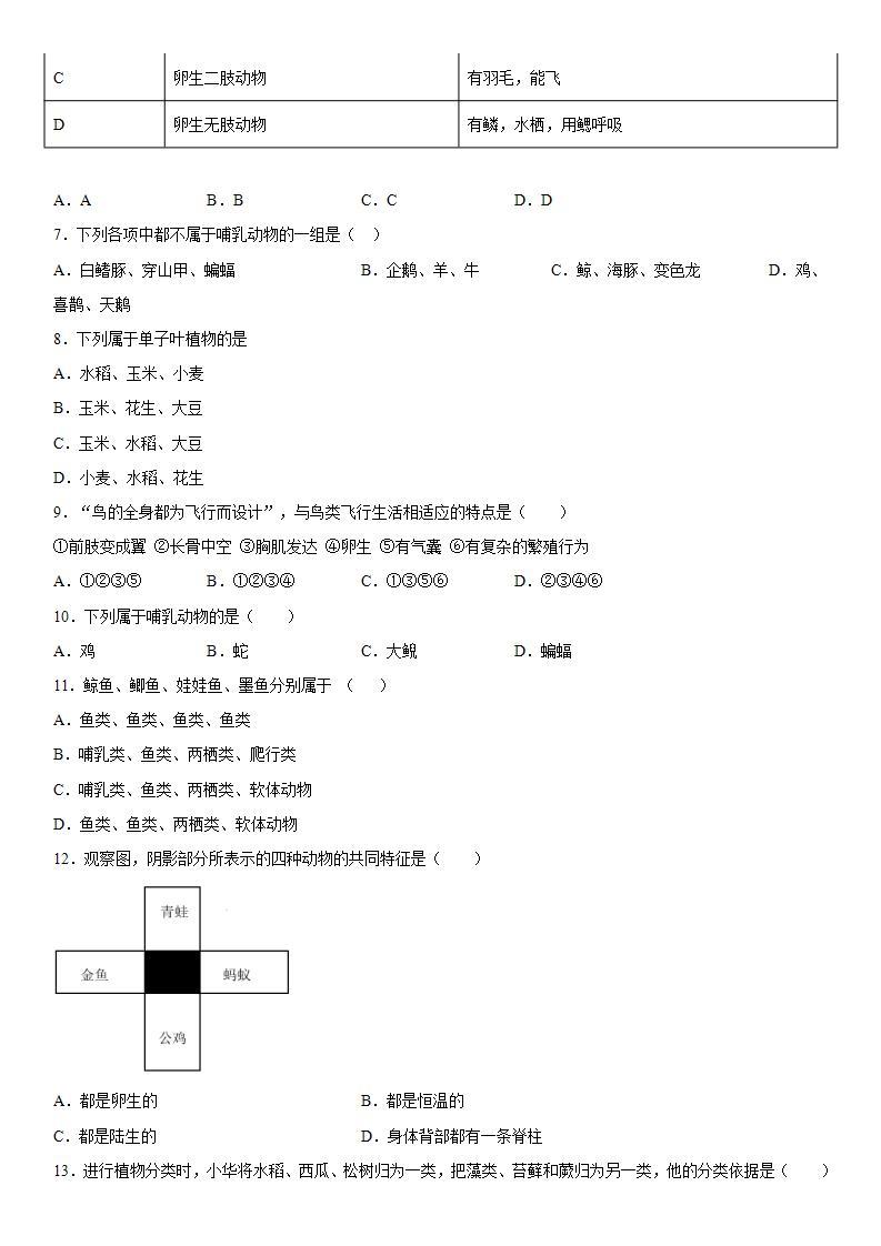 第二章生物的主要类群练习（4）2020-2021学年华师大版科学七年级上册02