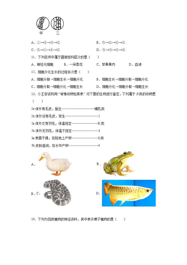 七年级上学期科学期中考试模拟测试卷03