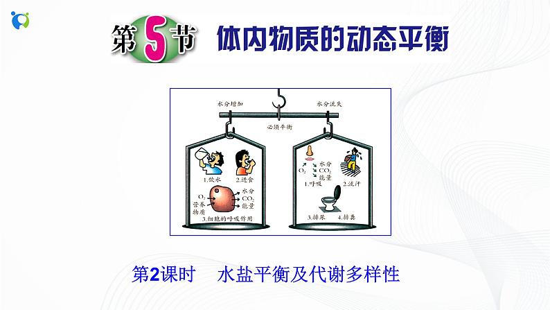 浙教版科学九年级上册 第4章 第5节 体内物质的动态平衡(第2课时)课件PPT+教案+练习02