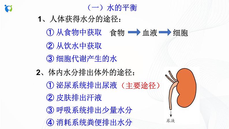 浙教版科学九年级上册 第4章 第5节 体内物质的动态平衡(第2课时)课件PPT+教案+练习06
