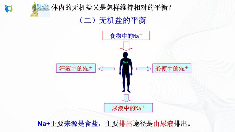 浙教版科学九年级上册 第4章 第5节 体内物质的动态平衡(第2课时)课件PPT+教案+练习07