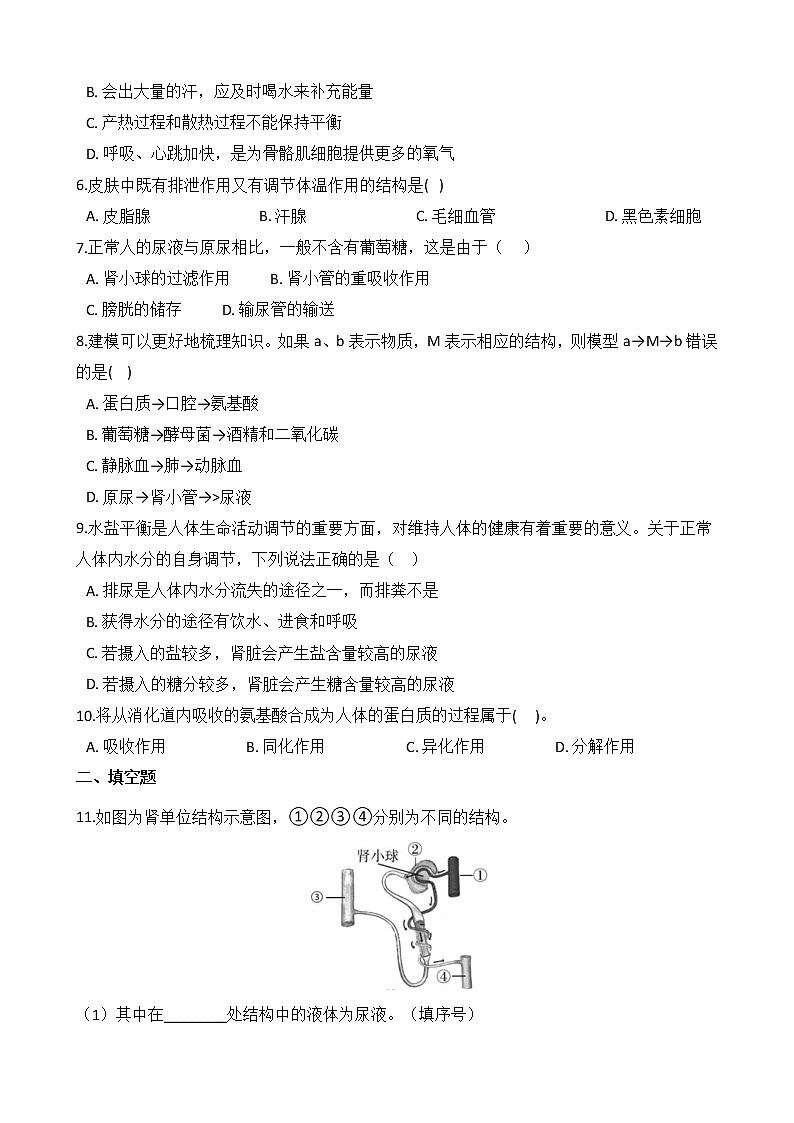 浙教版科学九年级上册 第4章 第5节 体内物质的动态平衡(第2课时)课件PPT+教案+练习02
