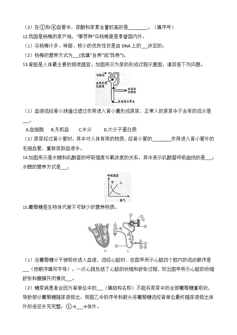 浙教版科学九年级上册 第4章 第5节 体内物质的动态平衡(第2课时)课件PPT+教案+练习03