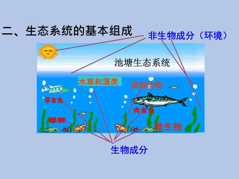 牛津上海版科学七年级下册15.3.1《生态系统的基本组成与相互关系》课件05