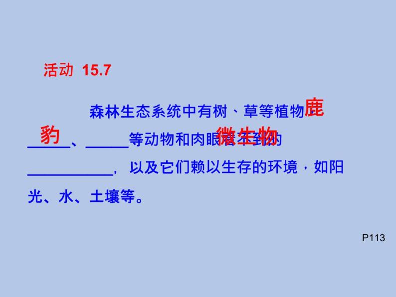 牛津上海版科学七年级下册15.3.1《生态系统的基本组成与相互关系》课件07