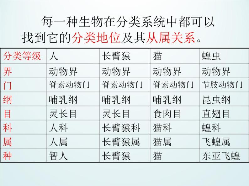 浙教版科学七年级上册 第二章 第四节 常见的动物_(1)（课件）03