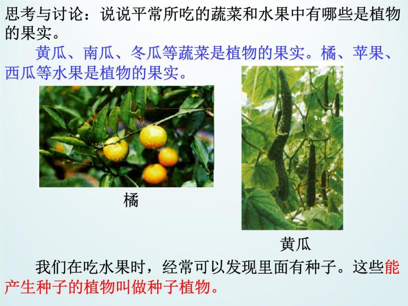 浙教版科学七年级上册 第二章 第五节 常见的植物_(1)（课件）05