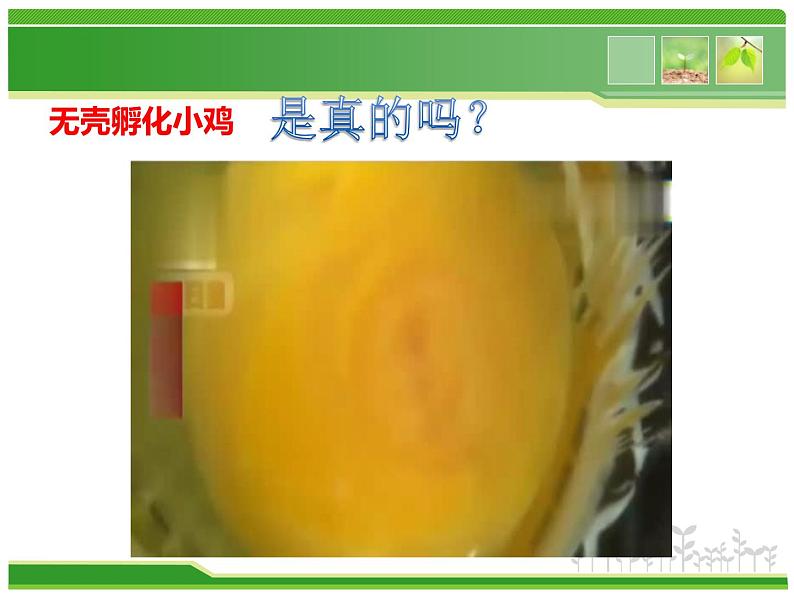 浙教版科学七年级上册 第二章 第四节 观察动物的形态和生活习性(课件)第2页