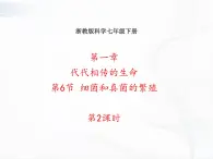 浙教版科学七年级下册 第一章 第六节 细菌和真菌的繁殖 第2课时 课件