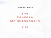 初中科学浙教版七年级下册第1章 代代相传的生命第5节 植物生殖方式的多样性精品ppt课件