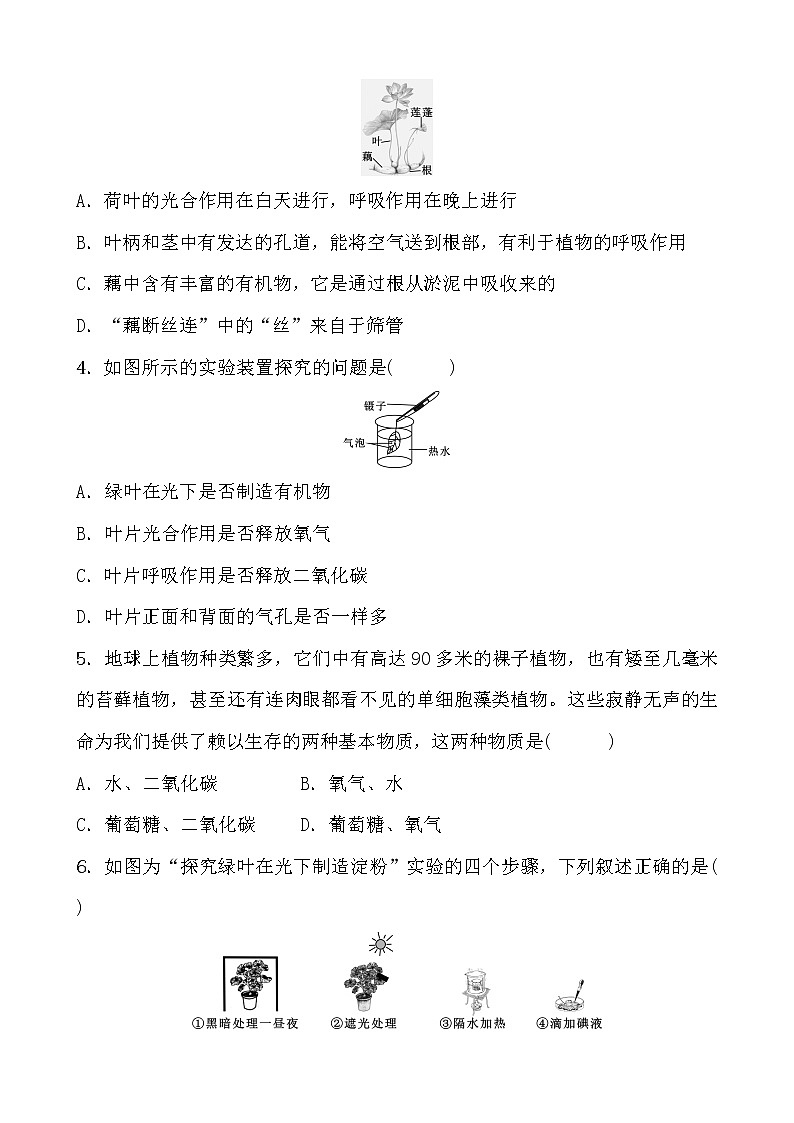 备战2022 浙教版科学 中考一轮复习 阶段检测卷(二)(学生)第2页