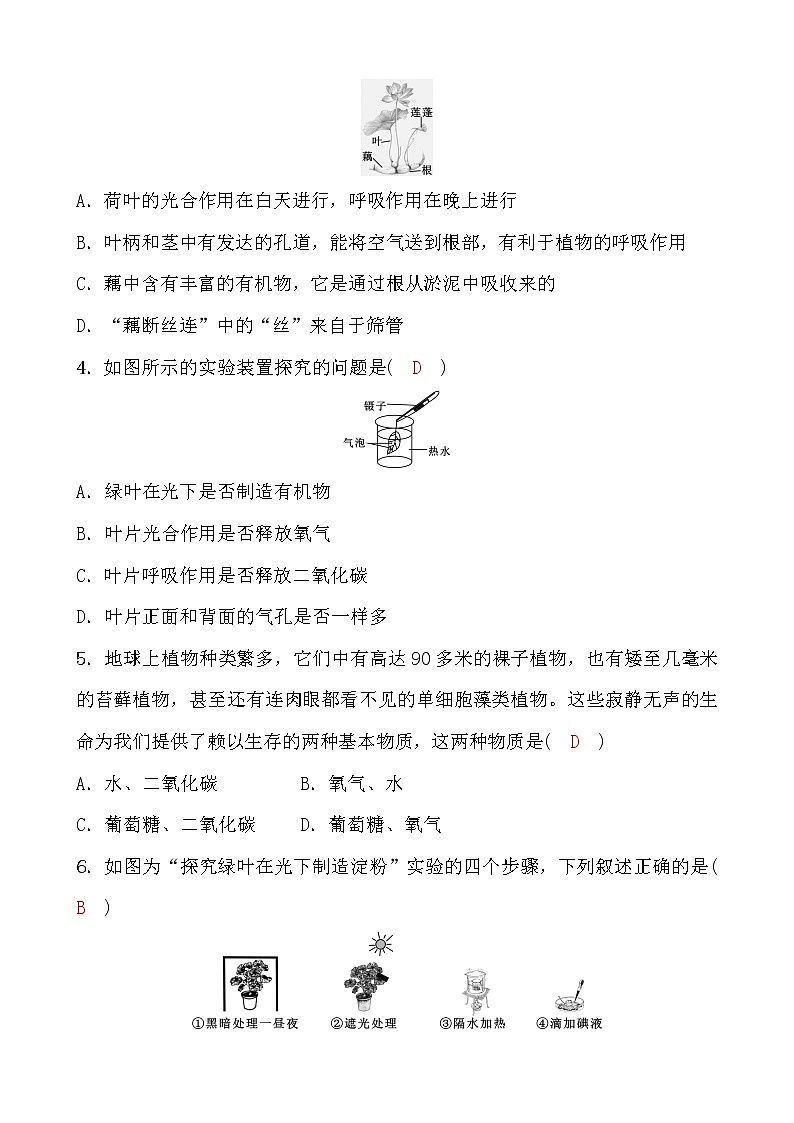 备战2022 浙教版科学 中考一轮复习 阶段检测卷(二)(教师)第2页