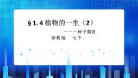科学七年级下册第4节 植物的一生完美版课件ppt
