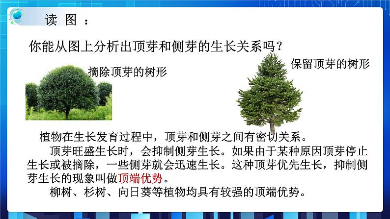 1.4植物的一生 第3课时 (课件+教案+导学案)07