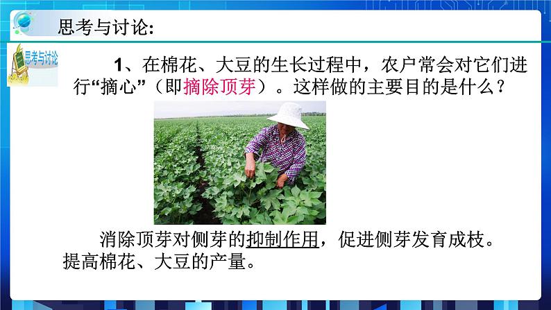 1.4植物的一生 第3课时 (课件+教案+导学案)08