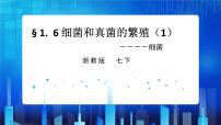 浙教版七年級下冊第6節(jié) 細菌和真菌的繁殖優(yōu)質ppt課件
