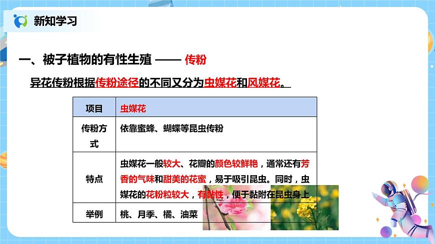 《植物生殖方式的多樣性》教學(xué)設(shè)計(jì)第7頁