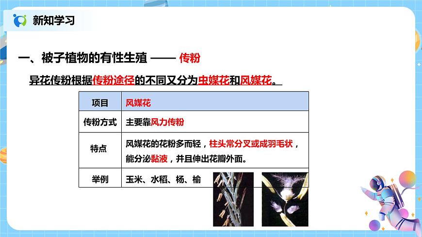 《植物生殖方式的多樣性》教學(xué)設(shè)計(jì)第8頁