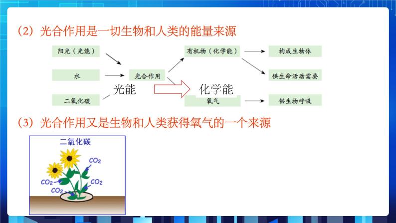 3.6《光合作用》课件+教案+练习07