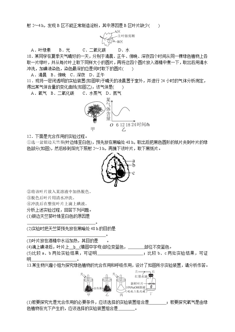 3.6《光合作用》课件+教案+练习02