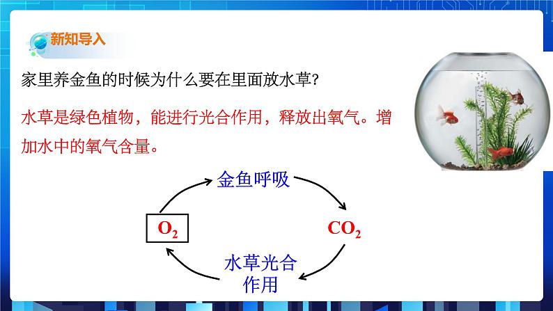 3.7《自然界中的氧循环和碳循环》课件+教案+练习02