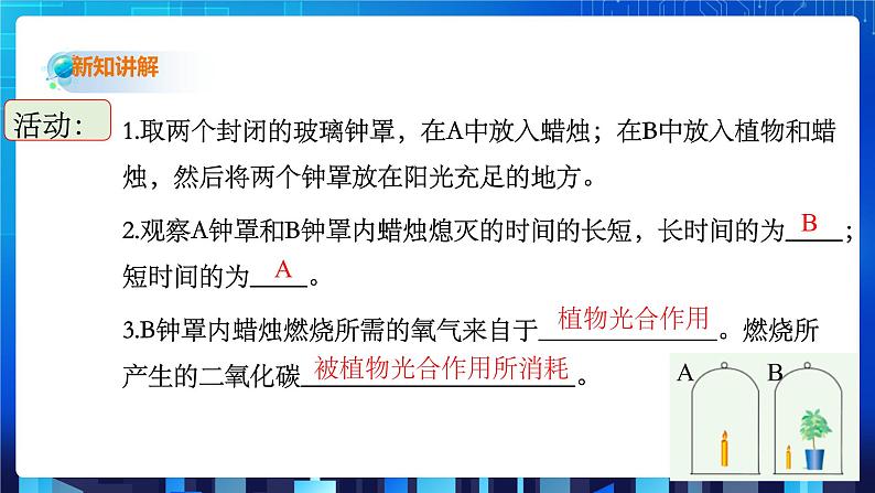 3.7《自然界中的氧循环和碳循环》课件+教案+练习03