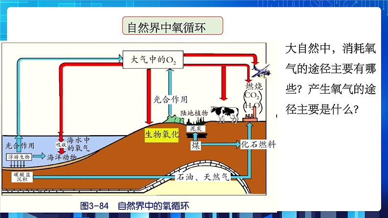 3.7《自然界中的氧循环和碳循环》课件+教案+练习05