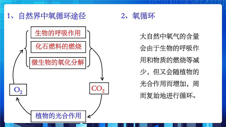 3.7《自然界中的氧循环和碳循环》课件+教案+练习07
