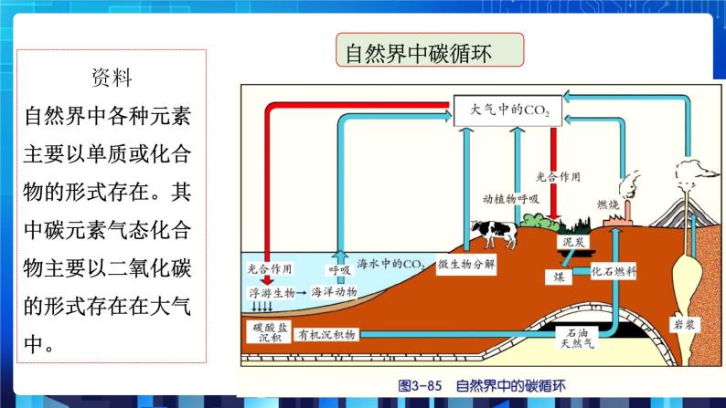 20202021学年第7节自然界中的氧循环和碳循环公开课课件ppt