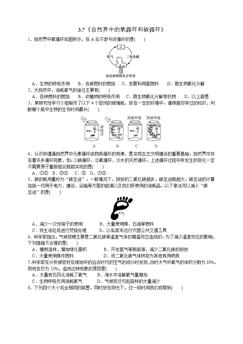 3.7《自然界中的氧循环和碳循环》课件+教案+练习01