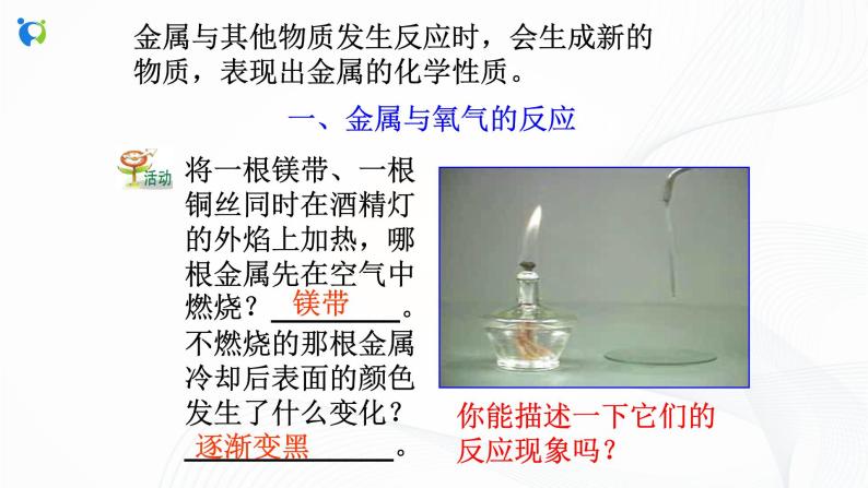 浙教版科学九年级上册  第2章 第2节 金属的化学性质（第1课时）课件PPT+教案+练习05