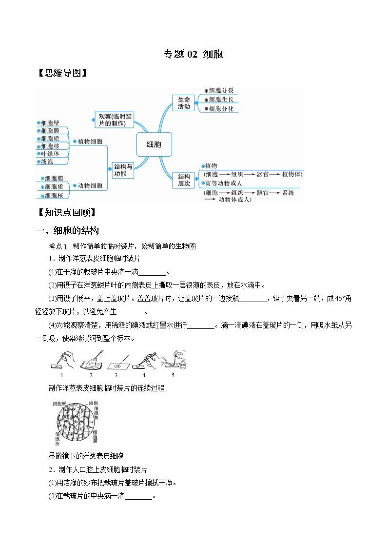 专题02 细胞-决战2022年中考科学一轮复习（教师版）