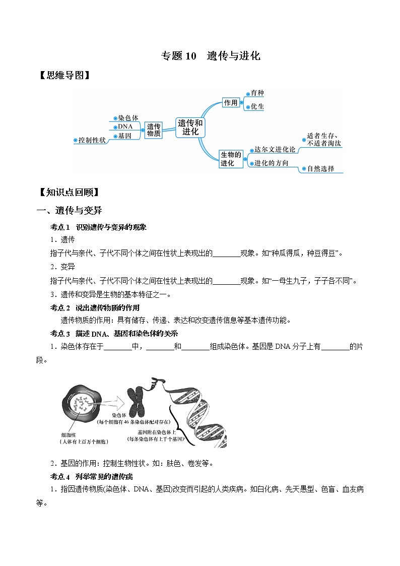 专题10 遗传与进化-决战2022年中考科学一轮复习(教师版)第1页