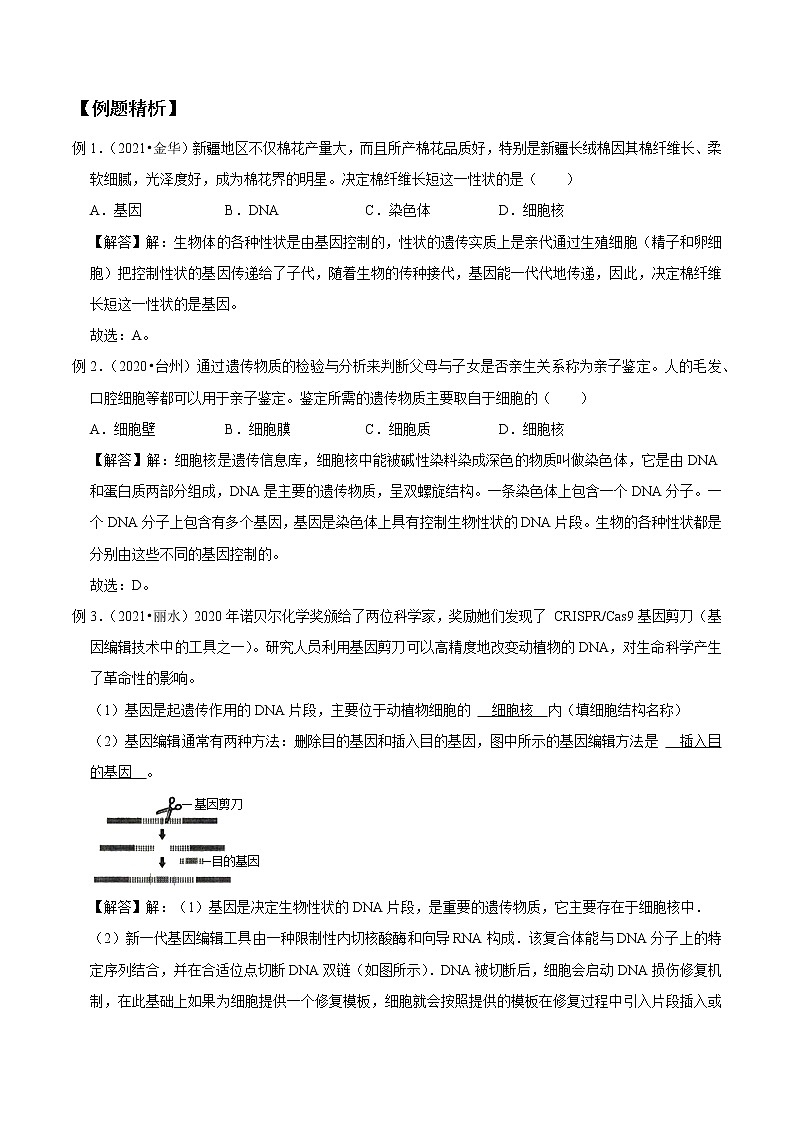 专题10 遗传与进化-决战2022年中考科学一轮复习(教师版)第3页