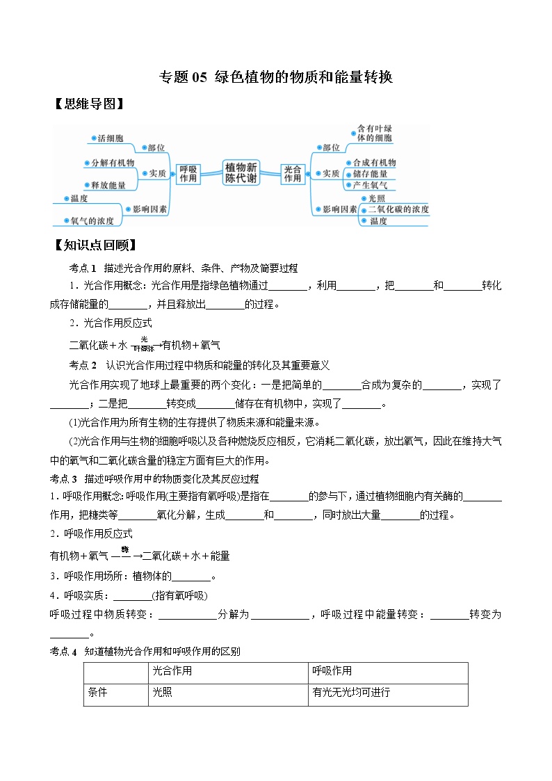 专题05 绿色植物的物质和能量转换-决战2022年中考科学一轮复习（教师版）