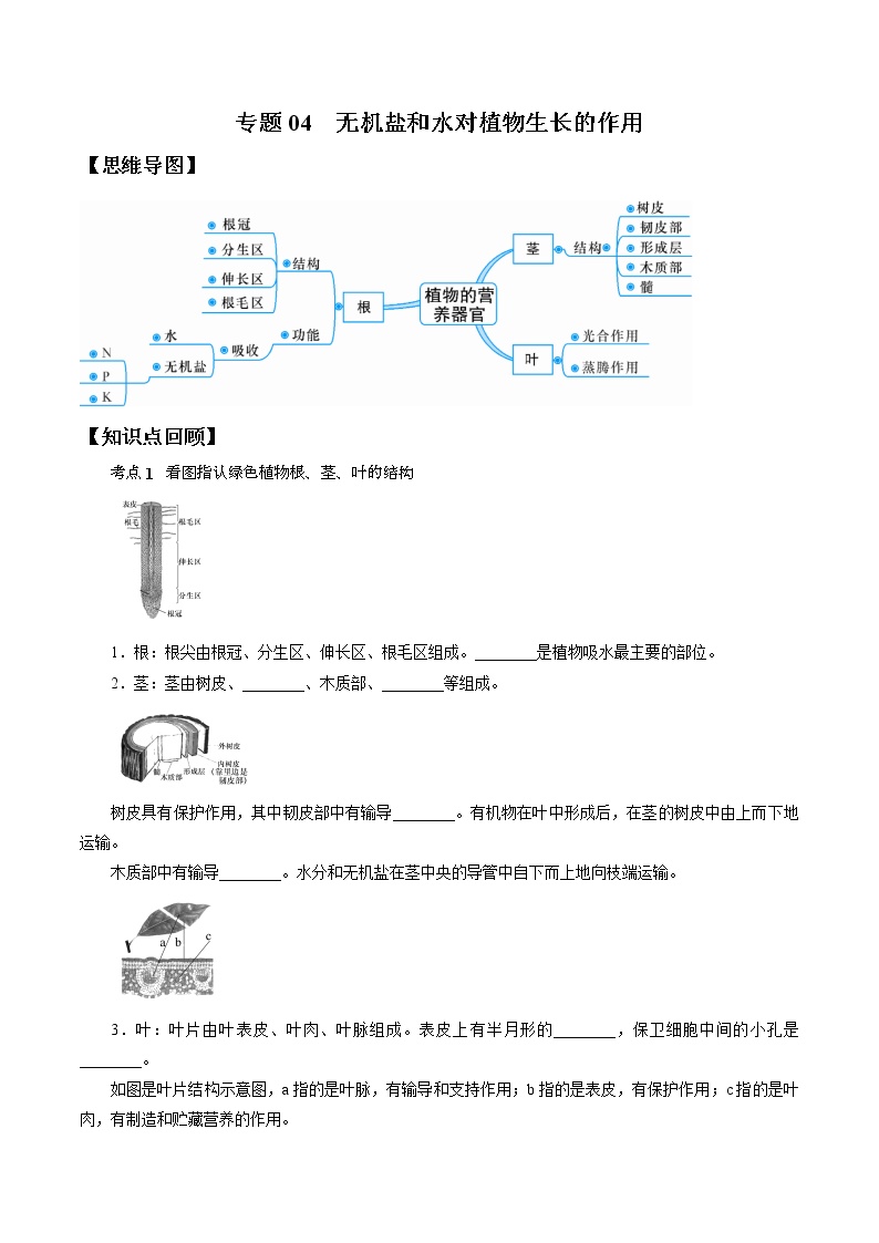 专题04 无机盐和水对植物生长的作用-决战2022年中考科学一轮复习（教师版）