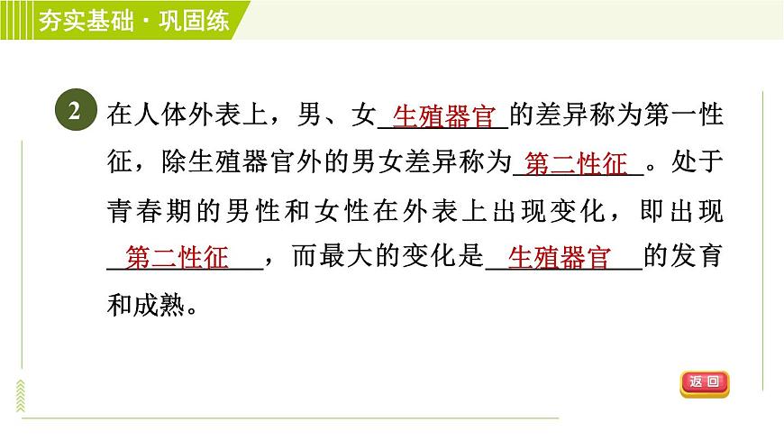 浙教版七年級下冊科學(xué) 第1章 1.2走向成熟 習(xí)題課件第5頁