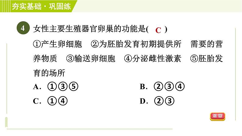 浙教版七年级下册科学 第1章 1.1.1人的生殖细胞和生殖系统 受精与妊娠 习题课件07